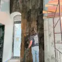 מרקובסקי אלכסנדר — wallpaper installation in Tel Aviv
